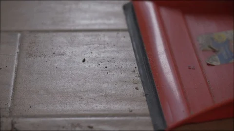 Cleaning dust from the floor Stock Footage 125428816