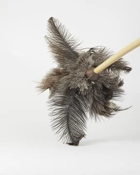 Cleaning duster on a white background Stock Photos