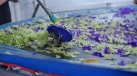 Cleaning feather from trampoline making of Fx movie plan Stock Footage 58054291