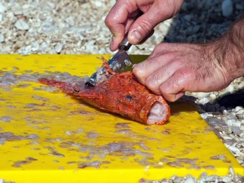 Cleaning fish on board Stock Photos
