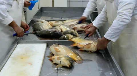 Cleaning fish carp Stock-Footage 46141423