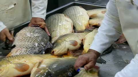 Cleaning fish carp Stock Footage 46141443