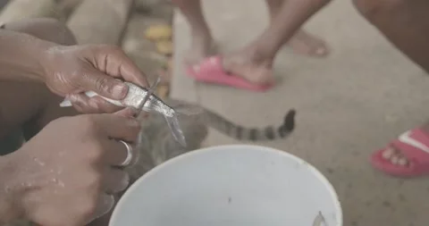 CLEANING FISH CLOSE UP 2 ST. LUCIA 動画素材 209155462
