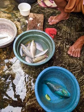 Is cleaning the fish before cooking Stock Photos