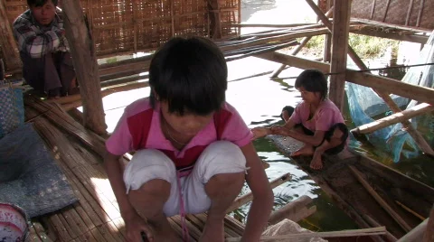 Cleaning Fish Stock Footage 359993