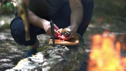 Cleaning a Fish on a Log 動画素材 318823551