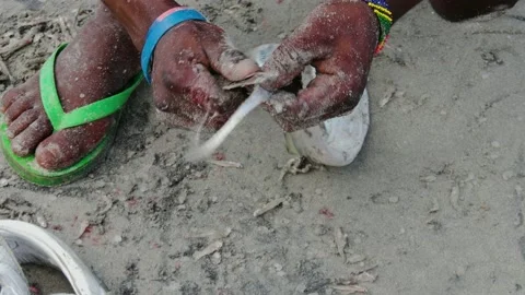 Cleaning fish with sands Stock Footage 161401001