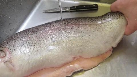 Cleaning fish in a sink with simple steps and clear process Stock Footage 335644596