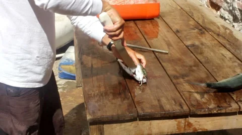 Cleaning fish1 1 Stock Footage 7753912