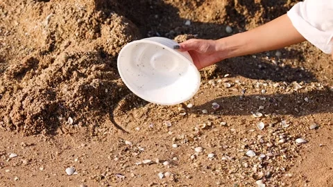 Cleaning Up Foam Plates on Beach Stockbeeldmateriaal 328133399