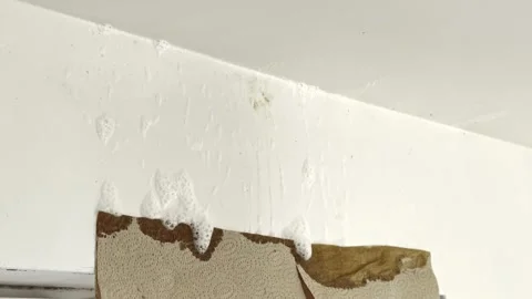 Cleaning foam on wall after bleach applied to mold Video stock 333305420