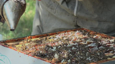 Cleaning up of frames to enable laying enhances Video stock 51855411