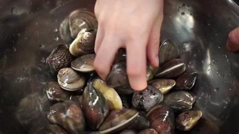 Cleaning fresh clams, dynamic Close-Up in a bright kitchen Stock Footage 320273454