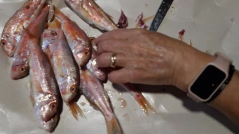 Cleaning Fresh Red Mullets on Kitchen Counter – Seafood Preparation Close-Up Stock Footage 322903652