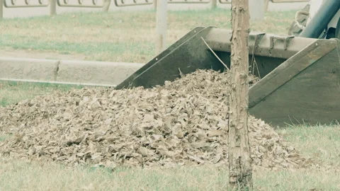 Cleaning of garbage and fallen leaves in the spring in the city square Video stock 129584308