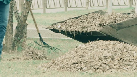 Cleaning of garbage and fallen leaves in the spring in the city square Stock Footage 130158651