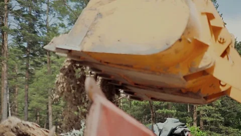 Cleaning garbage in the nature Stock Footage 69930015