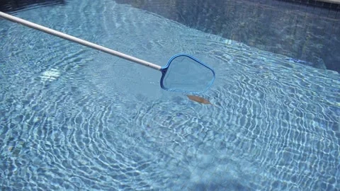 Cleaning garbage from the pool net 스톡 동영상 221054376