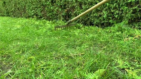 Cleaning garden 库存影片 172149397