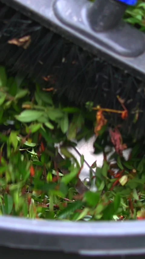 Cleaning a garden gutter filled with leaves and plants during a sunny afternoon Stock Footage 320304782