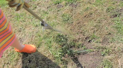 Cleaning grass clippings Video stock 24242217