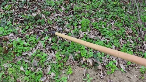 Cleaning grass Stock Footage 76072434