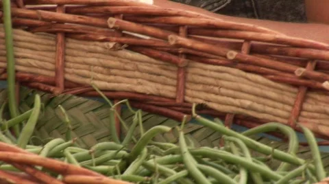 Cleaning green beans 스톡 동영상 847534