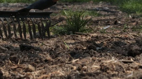 Cleaning the ground with rake, spring gardening activity Stock Footage 107150544