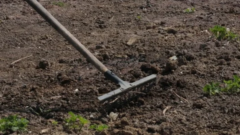 Cleaning the ground with rake, spring gardening activity Stock Footage 107150632