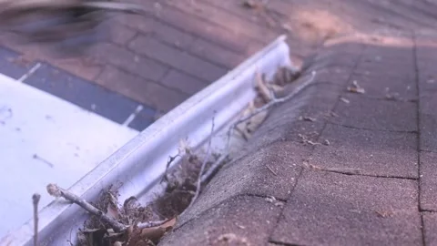 Cleaning gutters of fallen leaves, twigs, and other debris with my gloves Stock Footage 335410331