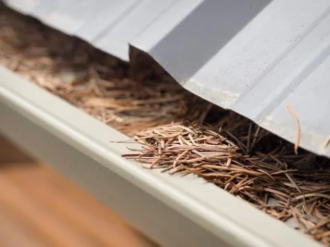 Cleaning gutters in spring Stock Photos