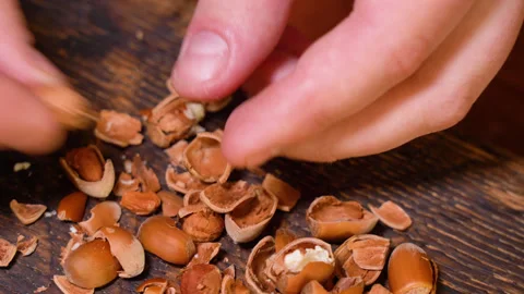 Cleaning hazelnuts on the wooden table Vídeo Stock 248153122