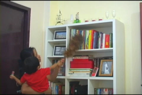 Cleaning The Home 스톡 동영상 517163