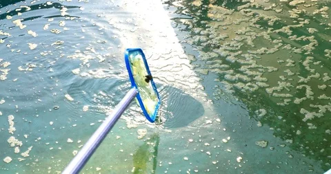 Cleaning the home pool. Stock Footage 126890491