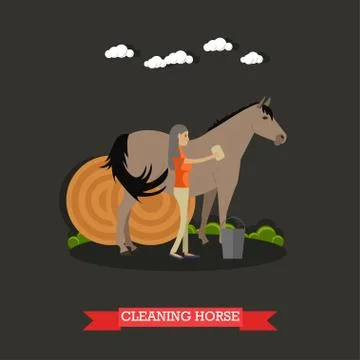 Cleaning horse vector illustration in flat style Stock Illustration