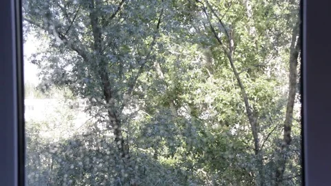 Cleaning the house. Window cleaning Video stock 76637301