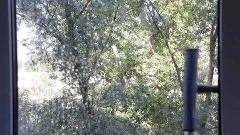 Cleaning the house. Window cleaning. Window sink in the apartment Video stock 76637288