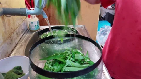 Cleaning kale Stock Footage 229990481