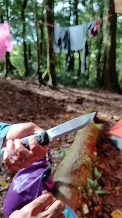 Cleaning knife in forest Stock Footage 245958716