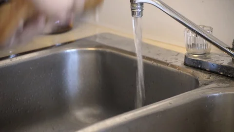 Cleaning a kombucha SCOBY in sink Stock Footage 88787502