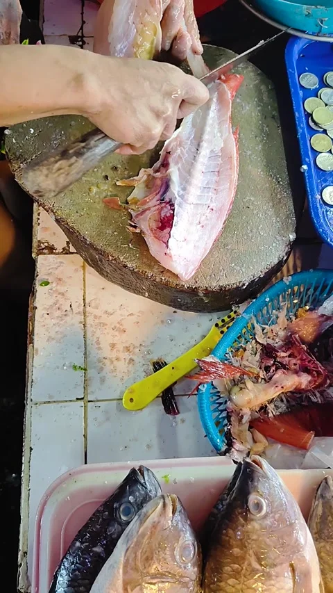 Cleaning the lapu-lapu fish. Iligan, Philippines. Stock Footage 265606253