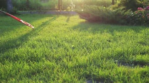 Cleaning lawn rake Stock Footage 65788845