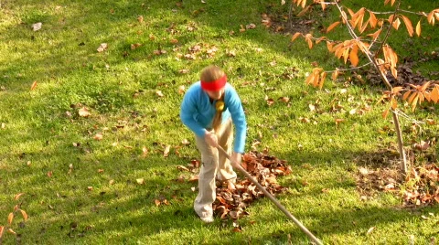 Cleaning of leaves. 스톡 동영상 285902