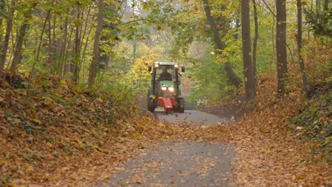 Cleaning leaves in the park Stock Footage 293163111