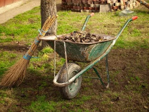 Cleaning leaves Stock Photos