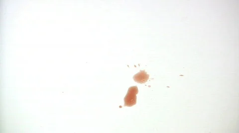 Cleaning a Liquid Spill Stock Footage 77450