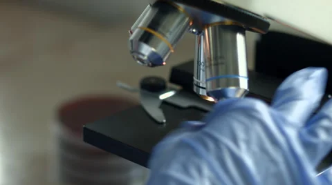 Cleaning microscope in microbiology lab 動画素材 51981277