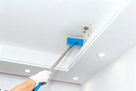 Cleaning mold from a ceiling with a mop Stock Photos