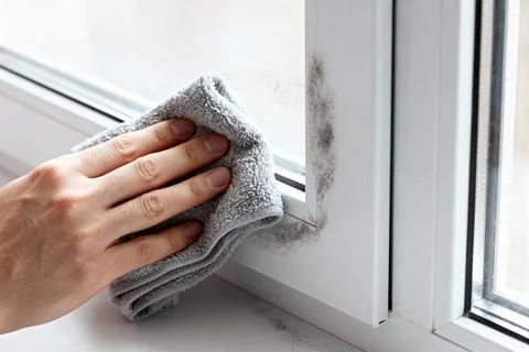 Cleaning mold from a window frame with a microfiber cloth for home maintenanc Stock Photos