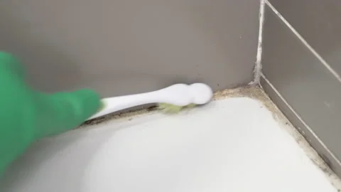 Cleaning moldy tile Vidéo 212402315